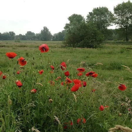 Appartement Markdal Met Gratis Fietsen