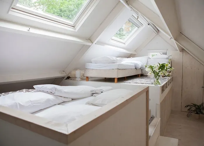 Markdal Met Gratis Fietsen * Breda