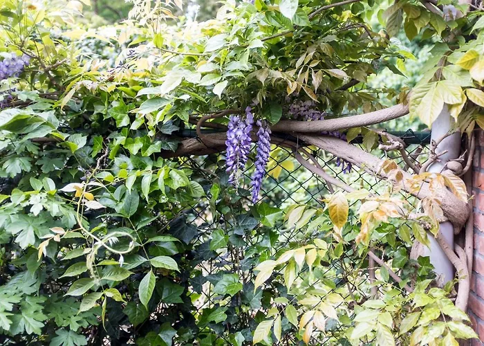 Apartment Markdal Met Gratis Fietsen Breda