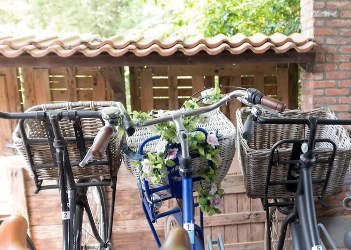 Markdal Met Gratis Fietsen Breda