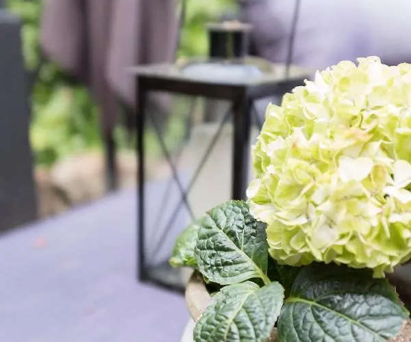 Markdal Met Gratis Fietsen * Breda