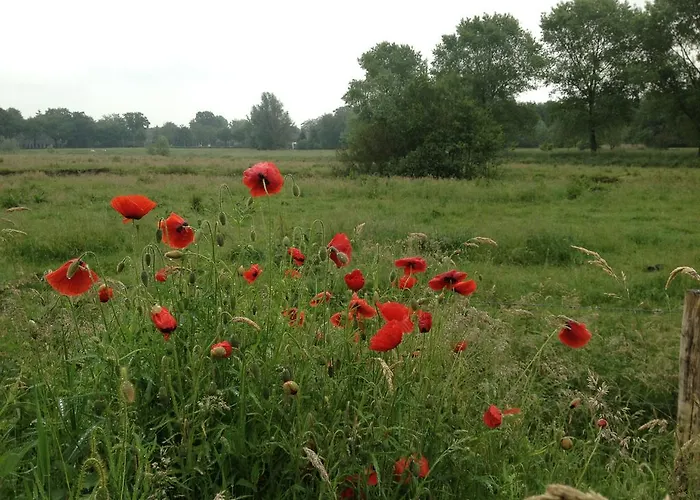 公寓 Markdal Met Gratis Fietsen