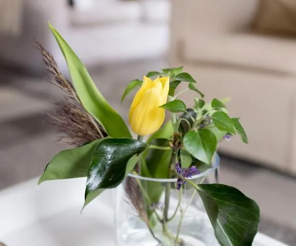 Markdal Met Gratis Fietsen * 布雷达